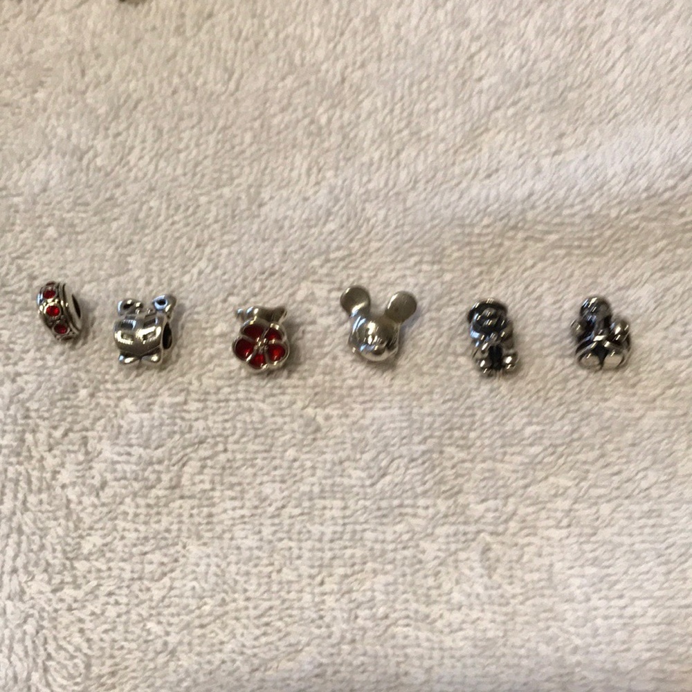 Pandora and Camillia Bracelet Beads